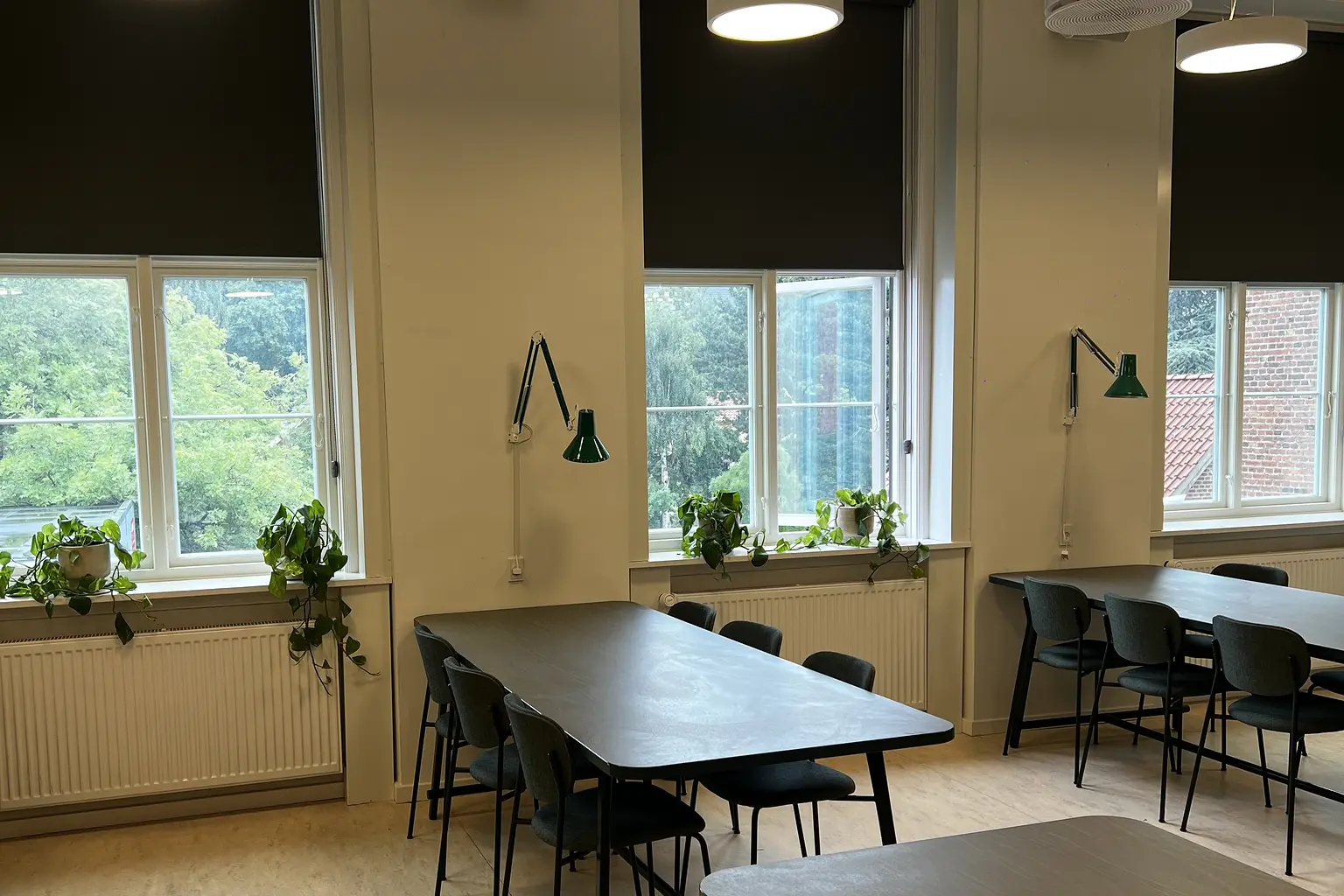 Vinduespartier i et skolemiljø med ensartet sænkede rullegardiner