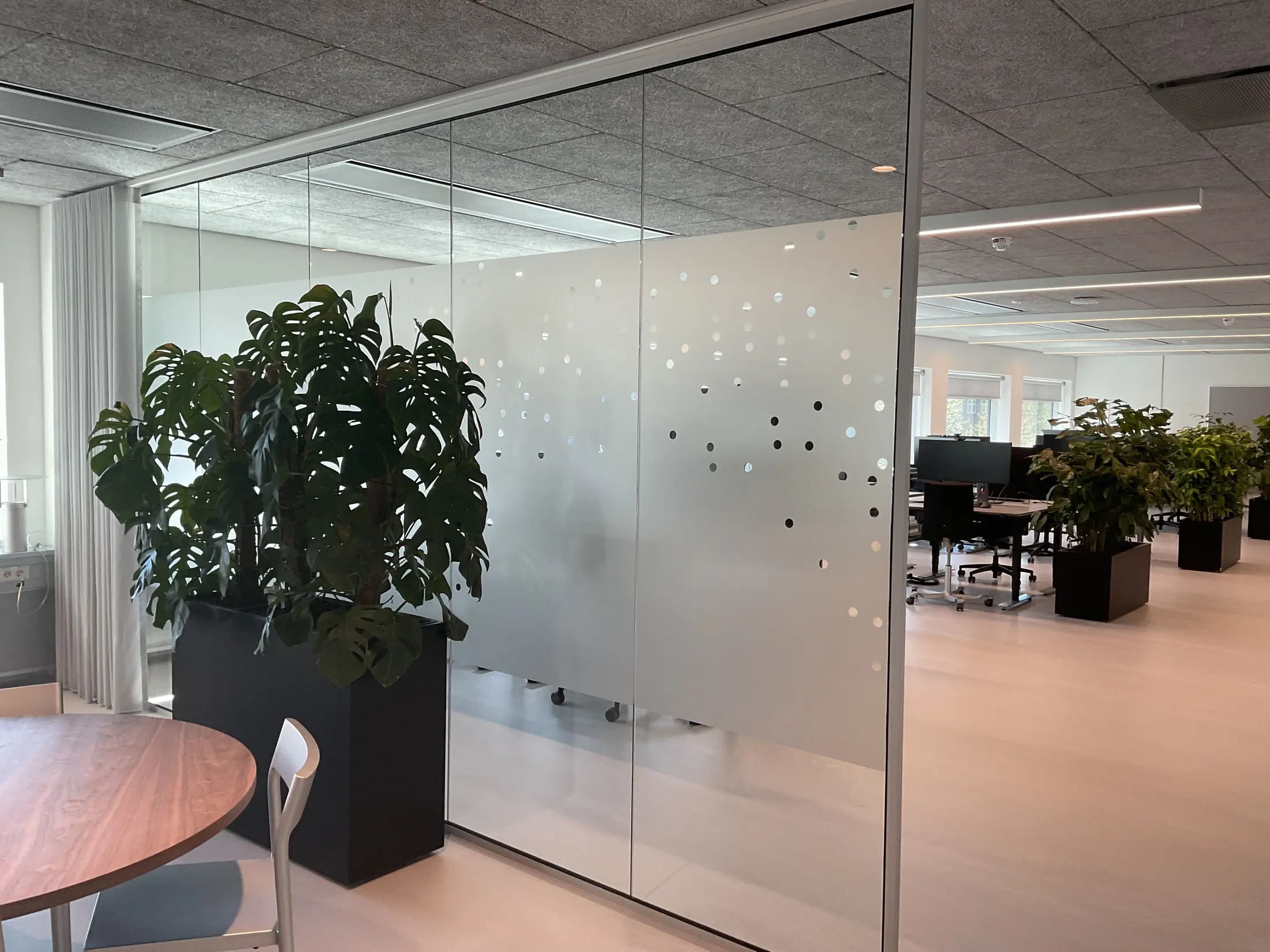 Glass partition with discreet screening, plants and sheer curtains